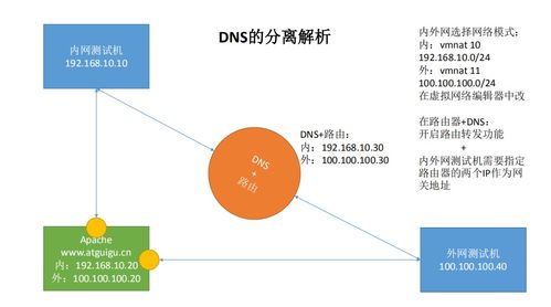 Linux云计算之网络服务 DNS域名系统服务深度解析