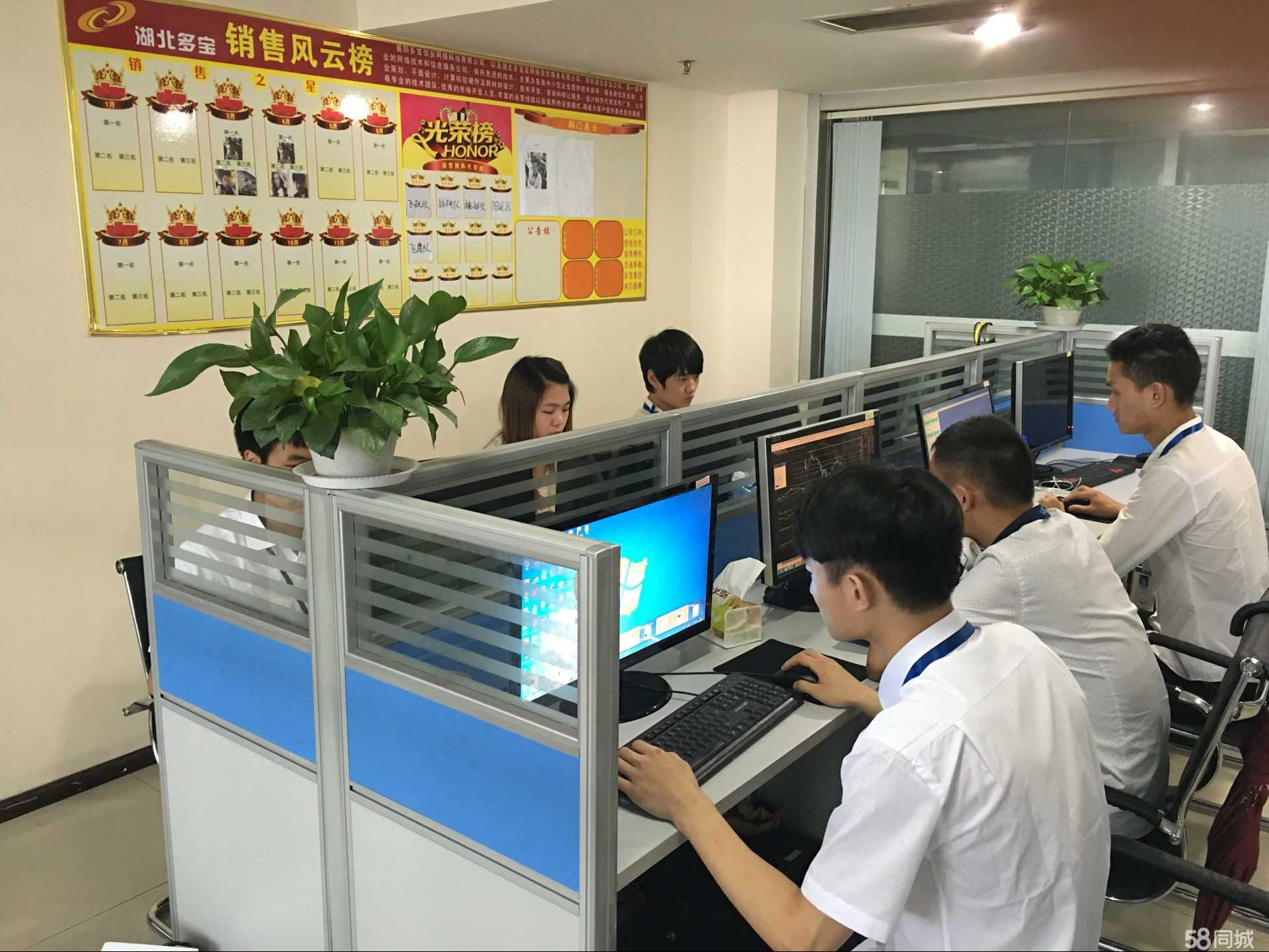 湖北多宝延网络信息服务 深耕网络服务，护航数字化转型